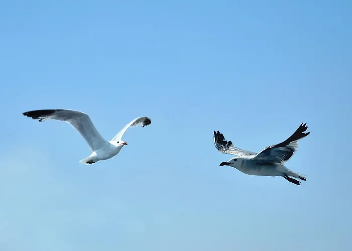 Bed & Breakfast Contemoro Gallipoli